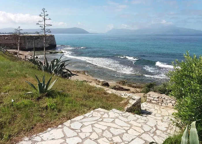 Nestor Sea Studio